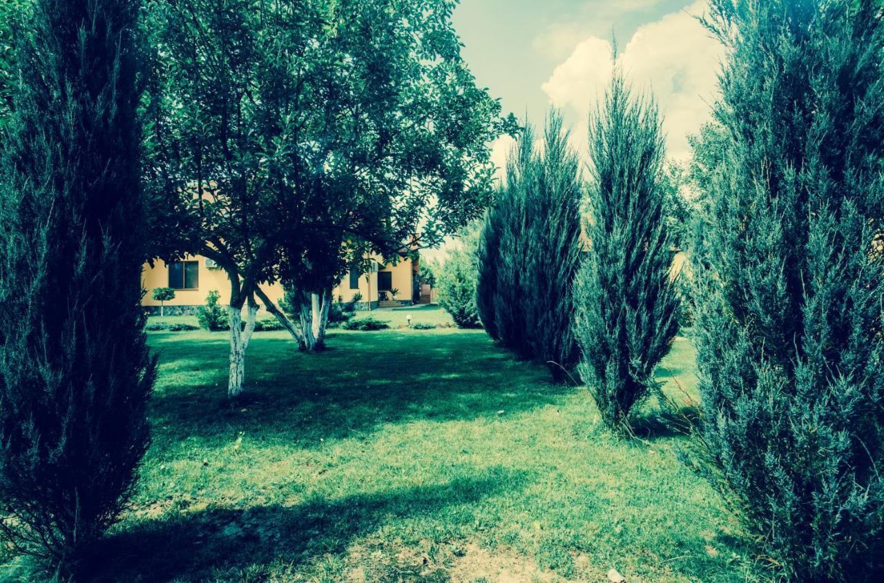 Sunrise Boutique Hotel Bereg Exterior foto